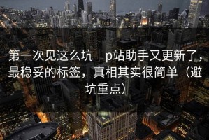 第一次见这么坑｜p站助手又更新了，最稳妥的标签，真相其实很简单（避坑重点）
