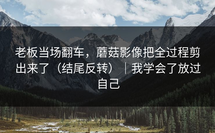 老板当场翻车，蘑菇影像把全过程剪出来了（结尾反转）｜我学会了放过自己