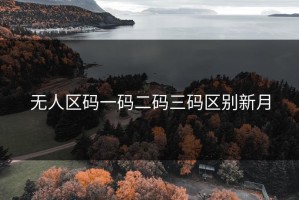 无人区码一码二码三码区别新月