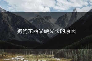 狗狗东西又硬又长的原因