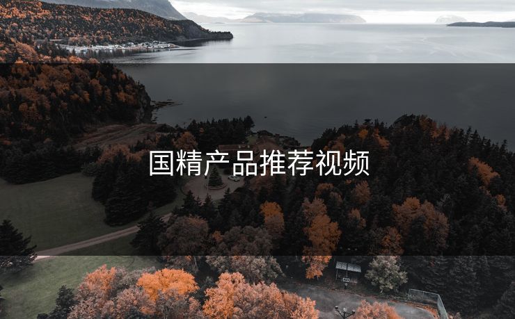 国精产品推荐视频